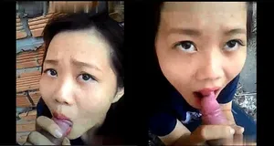Bồ bú củ khoải ở vườn sau nhà